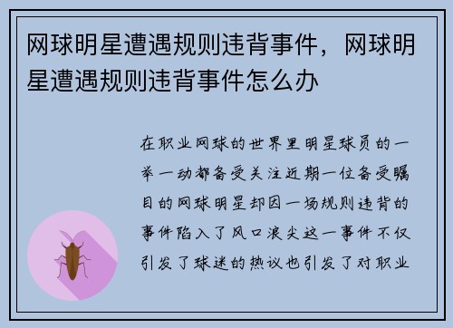 网球明星遭遇规则违背事件，网球明星遭遇规则违背事件怎么办